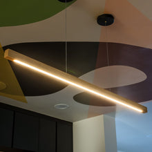 Load image into Gallery viewer, Fulbert Pendant Light
