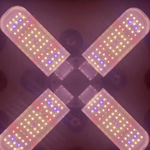 Carregar imagem no visualizador da galeria, Full Spectrum Grow Lights Folding Model for Plant Growth
