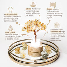 Load image into Gallery viewer, Golden Lamp of Wealth - Citrine Tree
