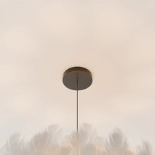 Carregar imagem no visualizador da galeria, Goose Feather Pendant Light
