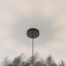 Cargar imagen en el visor de la galería, Goose Feather Pendant Light
