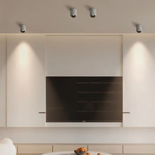 Load image into Gallery viewer, Graziella Downlight
