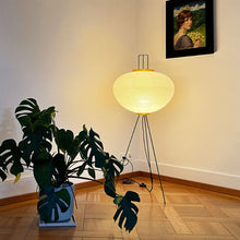 Load image into Gallery viewer, Guro Floor Lamp
