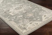 Carregar imagem no visualizador da galeria, Broomfield 1196 Hand Tufted Taupe Wool Rug
