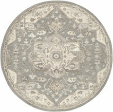 Carregar imagem no visualizador da galeria, Broomfield 1196 Hand Tufted Taupe Wool Rug
