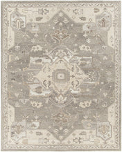 Carregar imagem no visualizador da galeria, Broomfield 1196 Hand Tufted Taupe Wool Rug
