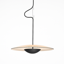 Load image into Gallery viewer, Hecate Pendant Light
