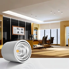 Load image into Gallery viewer, Hunar Downlight
