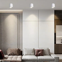 Load image into Gallery viewer, Hunar Downlight
