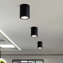 Load image into Gallery viewer, Hunar Downlight
