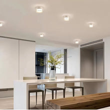 Carregar imagem no visualizador da galeria, Ian Downlight
