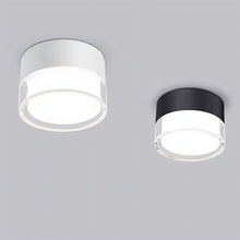 Carregar imagem no visualizador da galeria, Ian Downlight
