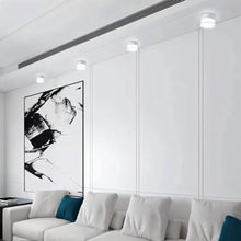 Carregar imagem no visualizador da galeria, Ian Downlight
