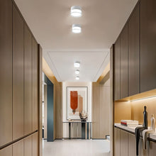 Carregar imagem no visualizador da galeria, Ian Downlight
