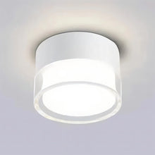 Carregar imagem no visualizador da galeria, Ian Downlight
