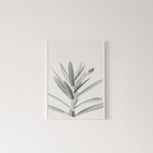 Cargar imagen en el visor de la galería, Botanical Canvas Paintings (3 Pack)
