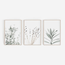 Cargar imagen en el visor de la galería, Botanical Canvas Paintings (3 Pack)
