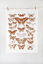 Carregar imagem no visualizador da galeria, Butterfly Tea Towel Terra-cotta
