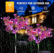 Load image into Gallery viewer, 2 Pack Solar Powered Phalaenopsis Flowers Lights Design, Waterproof
