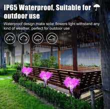 Load image into Gallery viewer, Solar Flowers Pink Rime Flower Design, Solar Powered Flowers Light Dusk to Dawn 2-Pack
