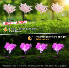 Load image into Gallery viewer, Solar Flowers Pink Rime Flower Design, Solar Powered Flowers Light Dusk to Dawn 2-Pack
