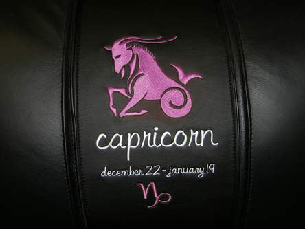 Capricorn Pink Logo Panel