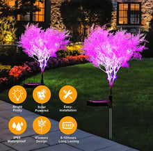 Load image into Gallery viewer, Solar Flowers Pink Rime Flower Design, Solar Powered Flowers Light Dusk to Dawn 2-Pack
