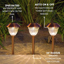 Cargar imagen en el visor de la galería, Energizer 10 Pack Solar LED Pathway Lights Outdoor-Stainless Steel
