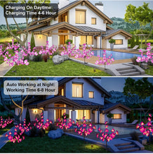 Load image into Gallery viewer, 2 Pack Solar Orchid Flower Lights -40 Flowers
