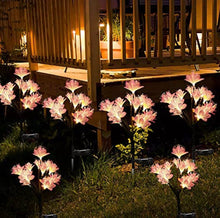 Load image into Gallery viewer, 2 Pack Solar Steak Garden Lights Solar Powered Waterproof 2 Lighting Modes Twinkling and Steady Landscape
