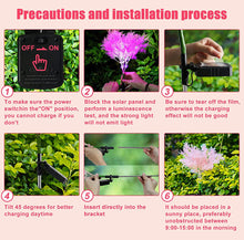Load image into Gallery viewer, Solar Flowers Pink Rime Flower Design, Solar Powered Flowers Light Dusk to Dawn 2-Pack
