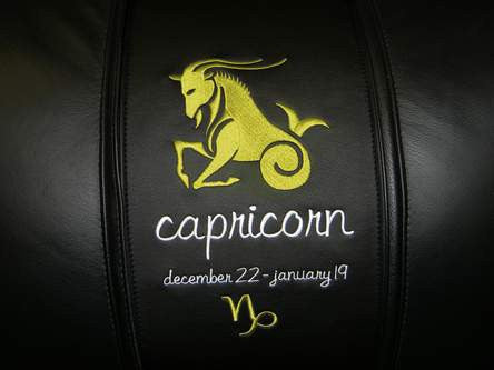 Capricorn Yellow Logo Panel