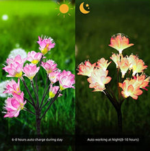 Load image into Gallery viewer, 2 Pack Solar Steak Garden Lights Solar Powered Waterproof 2 Lighting Modes Twinkling and Steady Landscape
