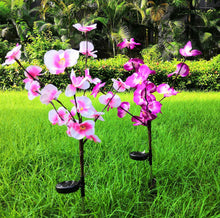 Load image into Gallery viewer, 2 Pack Solar Orchid Flower Lights -40 Flowers
