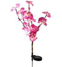 Load image into Gallery viewer, 2 Pack Solar Orchid Flower Lights -40 Flowers
