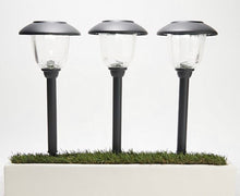 Load image into Gallery viewer, 16-Piece Solar Pathway Lights Glass and Aluminum, 16 Lumen - Powered by Energizer
