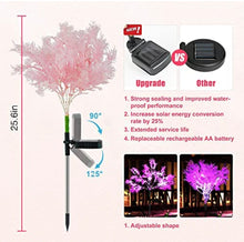 Load image into Gallery viewer, Solar Flowers Pink Rime Flower Design, Solar Powered Flowers Light Dusk to Dawn 2-Pack
