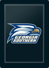 Load image into Gallery viewer, Georgia Southern Eagles Logo Panel
