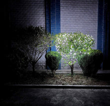 Load image into Gallery viewer, 150 LED Christmas Lights, 50 FT Green/White Wire
