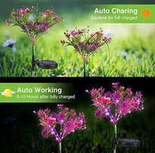Load image into Gallery viewer, 2 Pack Solar Powered Phalaenopsis Flowers Lights Design, Waterproof

