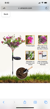 Load image into Gallery viewer, 2 Pack Solar Powered Phalaenopsis Flowers Lights Design, Waterproof
