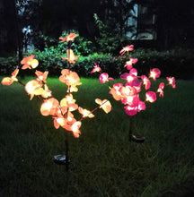 Load image into Gallery viewer, 2 Pack Solar Orchid Flower Lights -40 Flowers
