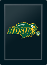 Load image into Gallery viewer, North Dakota State Bison Primary Logo Panel
