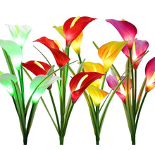 Cargar imagen en el visor de la galería, 4 Pack Solar Common Calla Lamp Four Color LED
