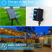 Carregar imagem no visualizador da galeria, 27 Ft Solar LED Outdoor String Lights – 1W Retro Edison Globe Bulbs Waterproof - 27 Ft Bistro Lights
