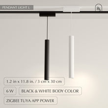 Load image into Gallery viewer, Janae Track Light System
