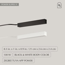 Load image into Gallery viewer, Janae Track Light System
