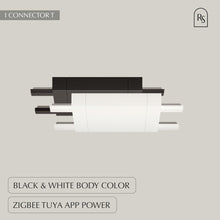 Load image into Gallery viewer, Janae Track Light System
