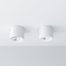 Cargar imagen en el visor de la galería, Jannis Downlight
