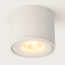 Load image into Gallery viewer, Jannis Downlight
